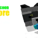 Raccoon store server