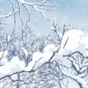 ❄ERKASHEV | STUDIO