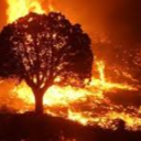 HellFireSMP Discord server icon