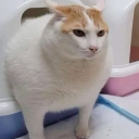 3AM crew ☃࿌ིྀ྇⋆⋆ Discord server icon