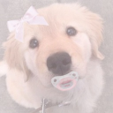 Pillow Palace Discord server icon