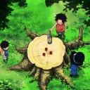 OnePieceDex