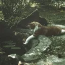 Fartmaxing