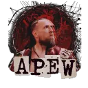 All Pro Elite Wrestling RP