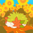 Pokemon: Faded & Flower Discord server icon