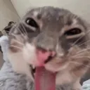 Носокленд: back to the past