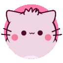 Pembe the Pink Cat Discord server icon