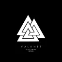 ValkNet Discord server icon