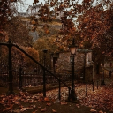 ʚ˚⋆The Mystical Café⋆˚ɞ