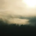 𝙵 𝙾 𝙶 𝚆 𝙸 𝚂 𝙴 Discord Server Icon