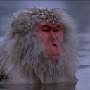 Ambient Ascension Discord server icon