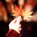 ❄ База отдыха — Діскорд Сервер