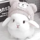 ⋆˚｡⋆୨୧˚ 𝑩𝒖𝒏𝒏𝒚 𝑯𝒂𝒗𝒆𝒏 ˚୨୧⋆｡˚⋆