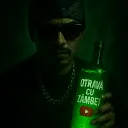 Otrava Cu Zambet T0xic