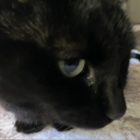 Beans cave Discord server icon