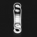 @'/slxsh #comeback