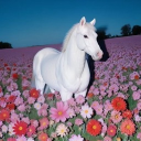 /SkyLine Discord server icon