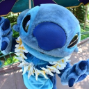 ⊂⊃﹕🌺﹐𝒮𝓉𝒾𝓉𝒸𝒽 𝒫𝓁𝒶𝓃𝑒𝓉﹒ᝰ Discord server icon