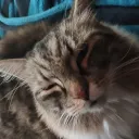 Wew Discord server icon