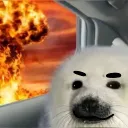 ຣᧉɑƖᥴ𐐫rɗ 🦭