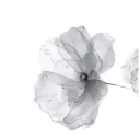 ❉ 𝑬𝒅𝒆𝒍𝒘𝒆𝒊𝒔𝒔 𝑩𝒍𝒊𝒔𝒔 ❉