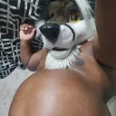 dm 2
