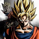 The Z Fighterz