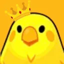 🦆   ℚ𝕦𝕒𝕔𝕜𝕖𝕣𝕤 ℚ𝕦𝕒𝕣𝕥𝕖𝕣𝕤   🦆