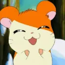 HAMTARO