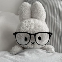 Funny Bunnies ૮ . . ྀིა Discord server icon