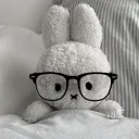 Funny Bunnies ૮ . . ྀིა