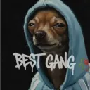 Best Gang🥀