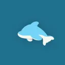 Coco Dolphins