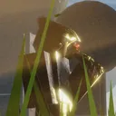 Splitzzard's server