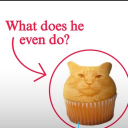 Cara’s suspicious dungeon Discord server icon