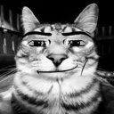 𝙲𝚑𝚊𝚛𝚕𝚘𝚝tes server