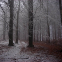 ݁ ˖𖥔 .݁𝘢𝘯𝘢𝘦𝘴𝘵𝘩𝘦𝘴𝘪𝘢 𝘧𝘰𝘳𝘦𝘴𝘵.𖥔 ݁ ˖ Discord server icon