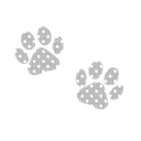 ۟ 。 ﹒ 🐾  ρup    ραrαძise