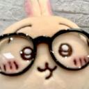 Usagi Playground