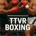 TTVR BOXING