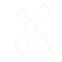 Projeto X Icon