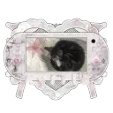 ೯   ⁺  𖥻        kyttie    ᰋ