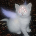 Castle of Freedom Discord server icon