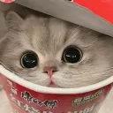 ゆな鯖