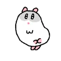 Mieeew｜社区暂关