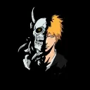 BLEACH RP PROJECT