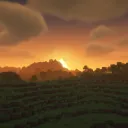 Widder´s Server