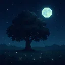 星原夜語交流群☘