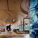 University of Familiar Places