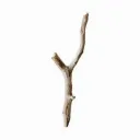 Twine100's server